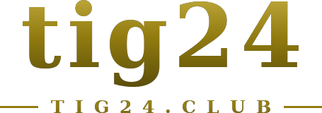 tig24 โลโก้